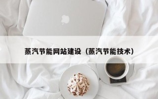 南京蒸汽节能网站建设（蒸汽节能技术）